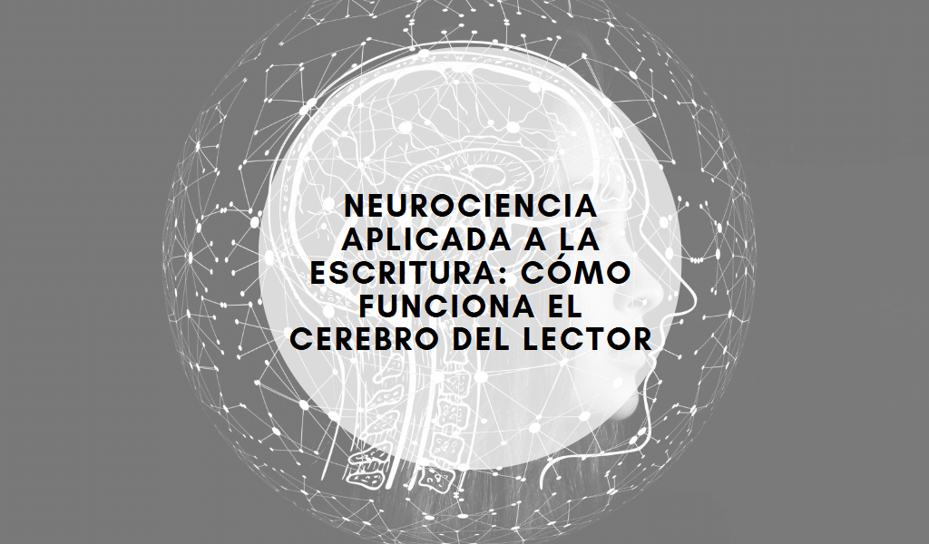Cómo funciona el cerebro del lector